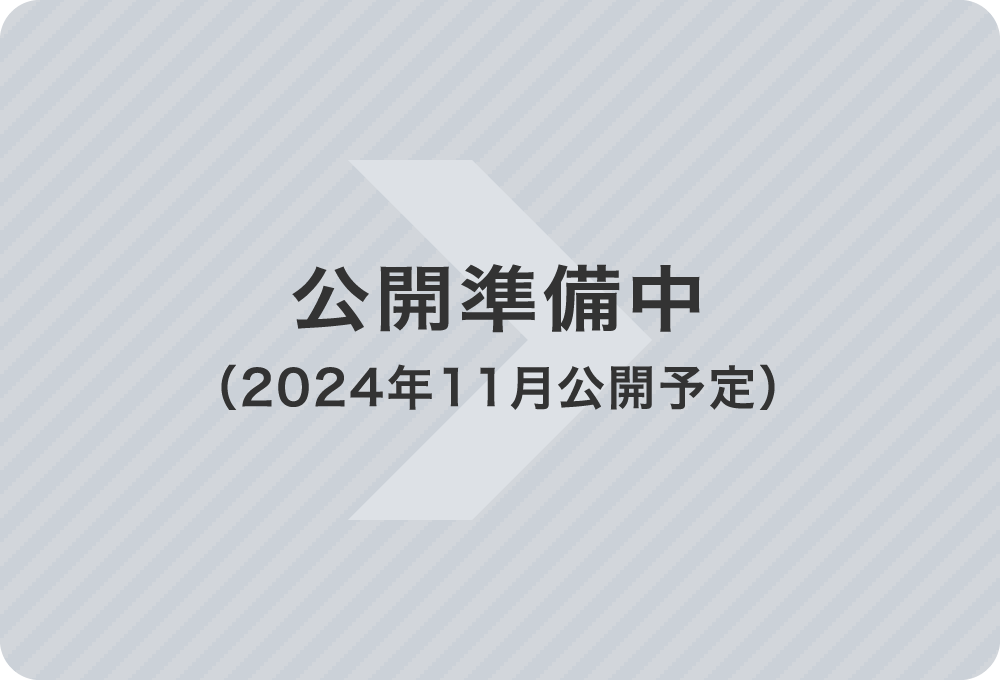 公開準備中（2024年11月公開予定）