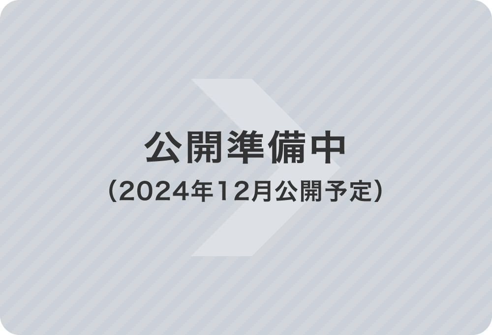 公開準備中（2024年12月公開予定）