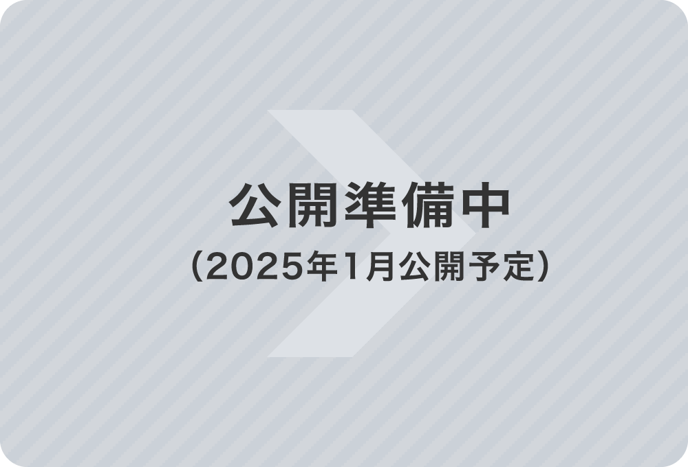 公開準備中（2025年1月公開予定）